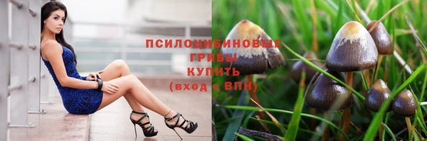 скорость Лиски